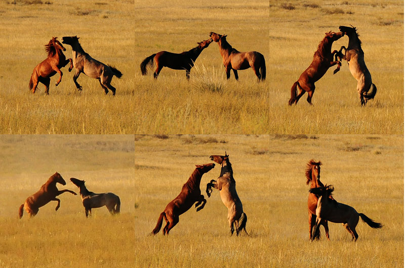 Kyrgyzstan, Asie Centrale